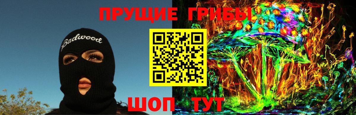 Галлюциногенные грибы мицелий  купить  сайты  Тында  Вход с VPN 