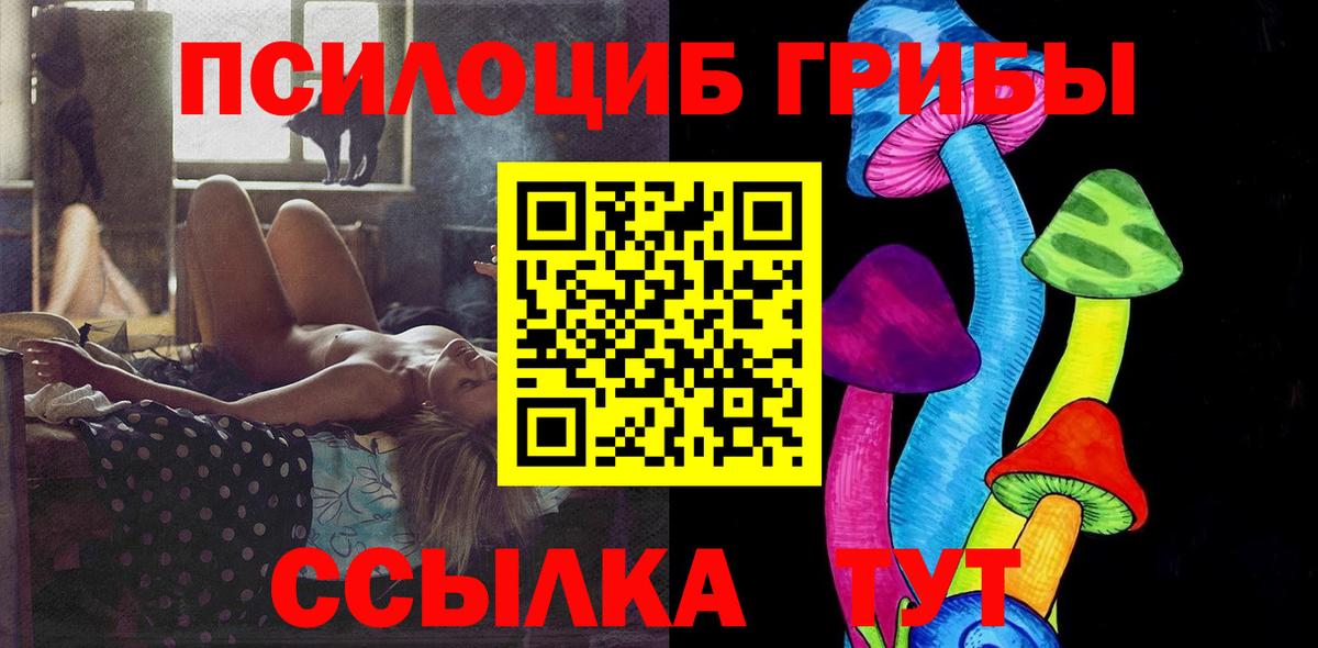 Псилоцибиновые грибы прущие грибы Тында