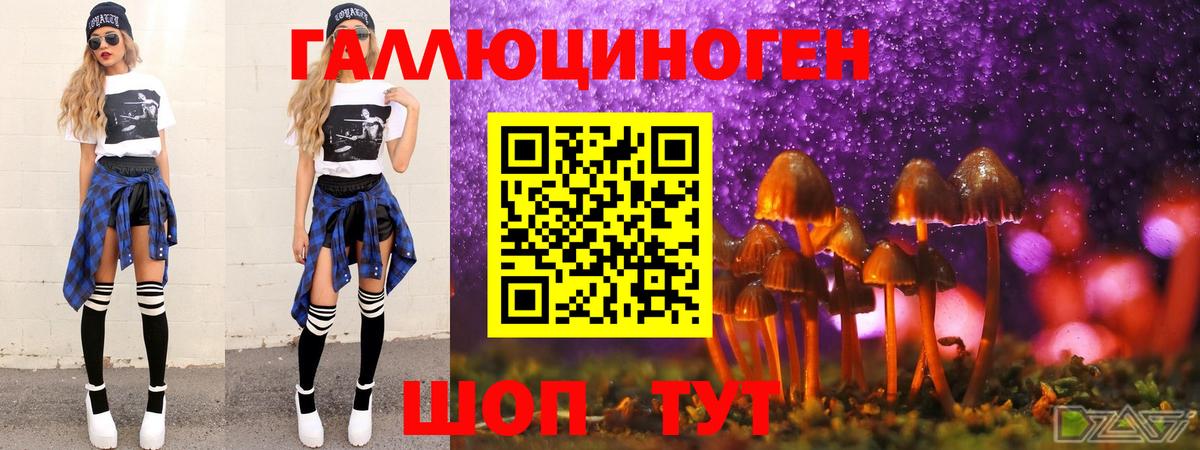 АМФ   Codein  Меф   Гашиш  Бошки Шишки  Тында  MDMA  Вход с VPN 